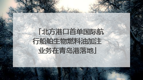 北方港口首单国际航行船舶生物燃料油加注业务在青岛港落地