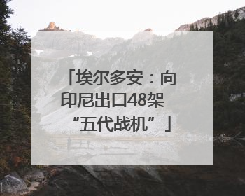 埃尔多安：向印尼出口48架“五代战机”