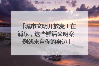城市文明开放麦！在浦东，这些鲜活文明案例就来自你的身边
