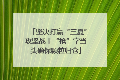 坚决打赢“三夏”攻坚战丨“抢”字当头确保颗粒归仓