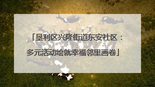 垦利区兴隆街道东安社区：多元活动绘就幸福邻里画卷