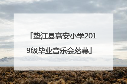 垫江县高安小学2019级毕业音乐会落幕