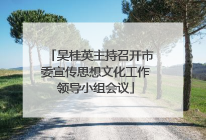 吴桂英主持召开市委宣传思想文化工作领导小组会议