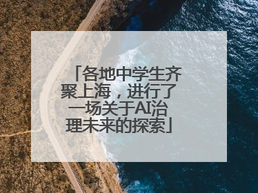 各地中学生齐聚上海，进行了一场关于AI治理未来的探索