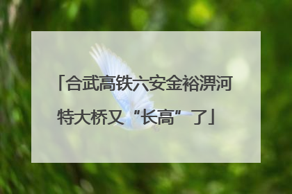 合武高铁六安金裕淠河特大桥又“长高”了