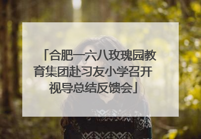 合肥一六八玫瑰园教育集团赴习友小学召开视导总结反馈会