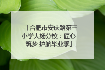 合肥市安庆路第三小学大杨分校：匠心筑梦 护航毕业季