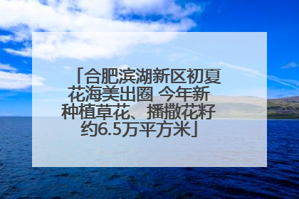 合肥滨湖新区初夏花海美出圈 今年新种植草花、播撒花籽约6.5万平方米