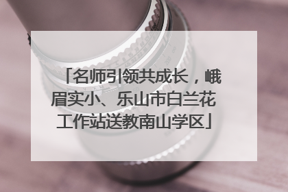 名师引领共成长，峨眉实小、乐山市白兰花工作站送教南山学区