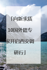 向新求质 10国外籍专家开启西安调研行