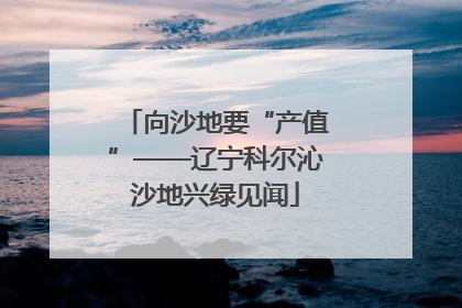 向沙地要“产值”——辽宁科尔沁沙地兴绿见闻