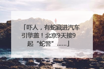 吓人，有蛇藏进汽车引擎盖！北京9天接9起“蛇警”……