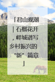 君山观潮｜石榴花开，峄城谱写乡村振兴的“新”篇章