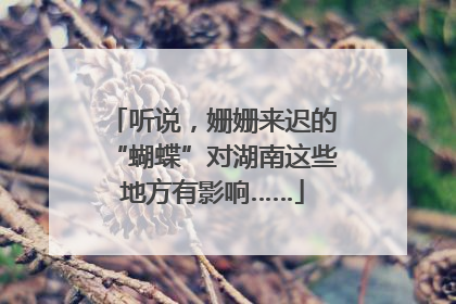 听说，姗姗来迟的“蝴蝶”对湖南这些地方有影响……