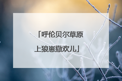 呼伦贝尔草原上狼崽撒欢儿