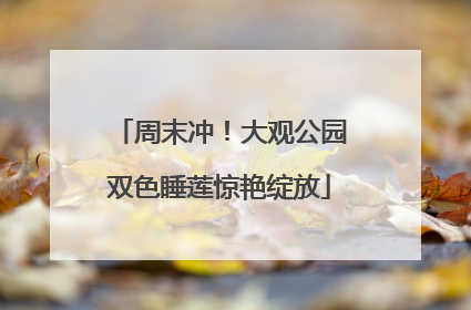 周末冲！大观公园双色睡莲惊艳绽放