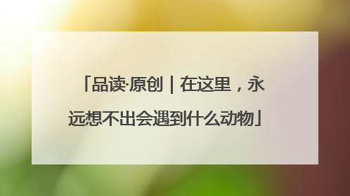 品读·原创｜在这里，永远想不出会遇到什么动物