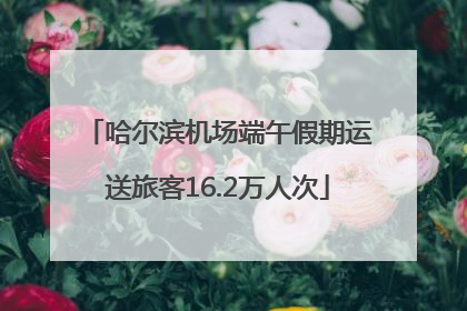 哈尔滨机场端午假期运送旅客16.2万人次
