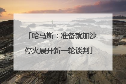 哈马斯：准备就加沙停火展开新一轮谈判