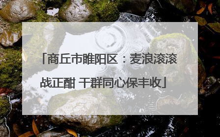 商丘市睢阳区：麦浪滚滚战正酣 干群同心保丰收