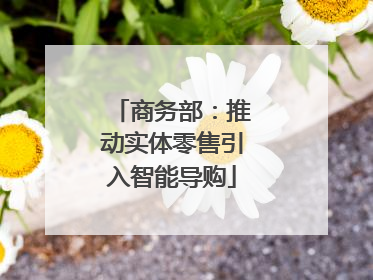 商务部：推动实体零售引入智能导购