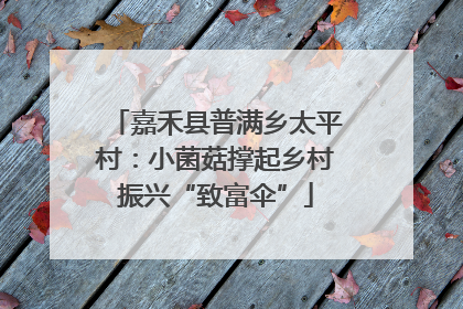 嘉禾县普满乡太平村：小菌菇撑起乡村振兴“致富伞”