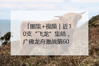 图集+视频｜近30支“飞龙”集结，广佛龙舟激战第60届荔湾“沙溪景”