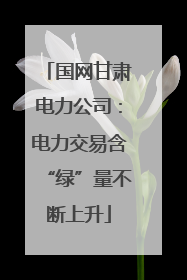 国网甘肃电力公司：电力交易含“绿”量不断上升