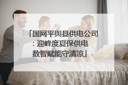 国网平舆县供电公司：迎峰度夏保供电  数智赋能守清凉