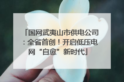 国网武夷山市供电公司：全省首创！开启低压电网“自愈”新时代