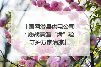 国网浚县供电公司：鏖战高温“烤”验 守护万家清凉