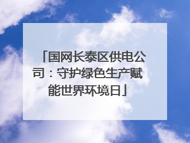 国网长泰区供电公司：守护绿色生产赋能世界环境日