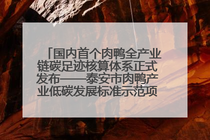 国内首个肉鸭全产业链碳足迹核算体系正式发布——泰安市肉鸭产业低碳发展标准示范项目顺利通过验收