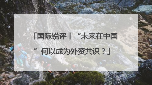 国际锐评丨“未来在中国”何以成为外资共识？