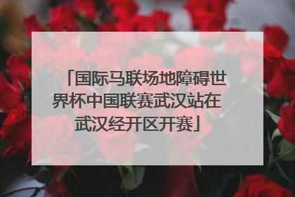 国际马联场地障碍世界杯中国联赛武汉站在武汉经开区开赛