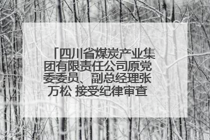 四川省煤炭产业集团有限责任公司原党委委员、副总经理张万松 接受纪律审查和监察调查