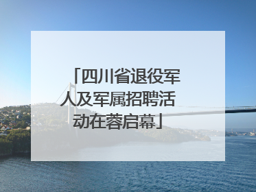 四川省退役军人及军属招聘活动在蓉启幕