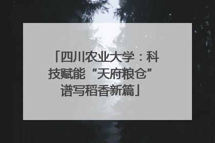 四川农业大学：科技赋能“天府粮仓”谱写稻香新篇