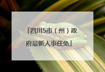 四川5市（州）政府最新人事任免