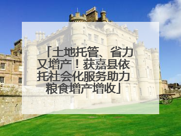 土地托管、省力又增产！获嘉县依托社会化服务助力粮食增产增收