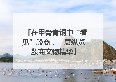 在甲骨青铜中“看见”殷商，一展纵览殷商文物精华