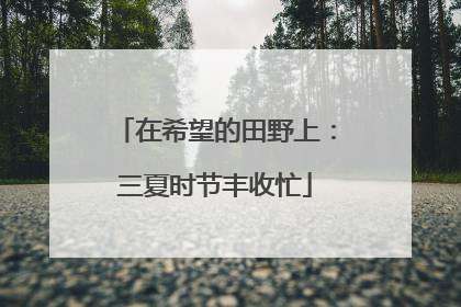 在希望的田野上：三夏时节丰收忙