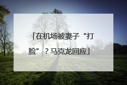 在机场被妻子“打脸”？马克龙回应