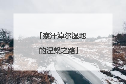 察汗淖尔湿地的涅槃之路