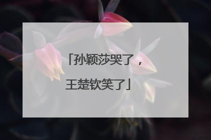 孙颖莎哭了，王楚钦笑了