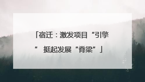宿迁：激发项目“引擎” 挺起发展“脊梁”