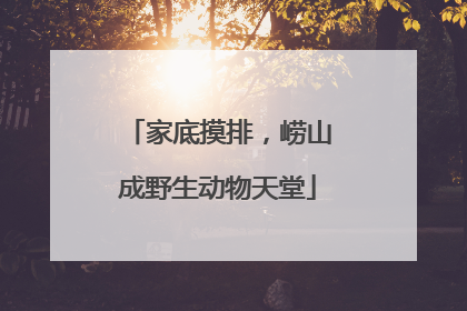 家底摸排，崂山成野生动物天堂