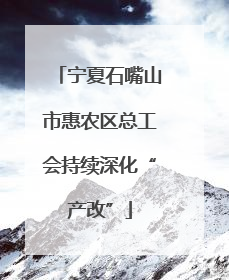 宁夏石嘴山市惠农区总工会持续深化“产改”