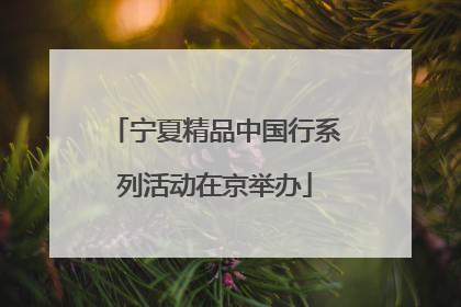 宁夏精品中国行系列活动在京举办