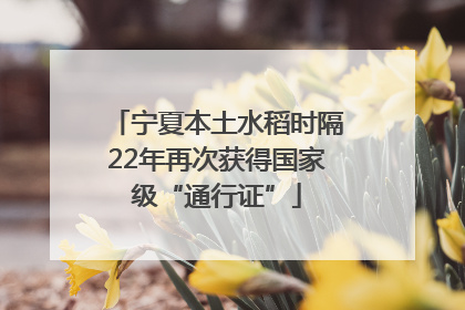 宁夏本土水稻时隔22年再次获得国家级“通行证”